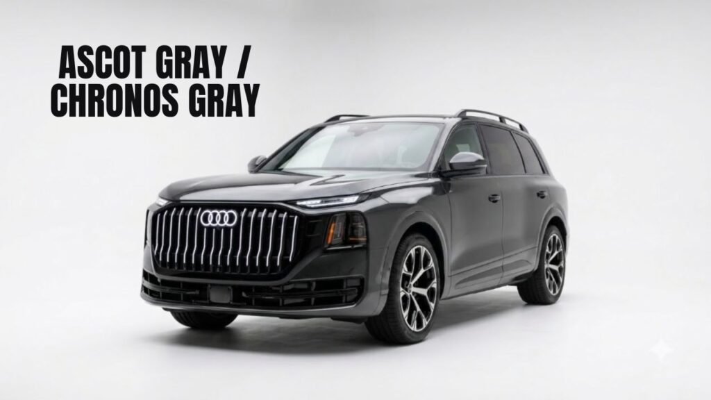 Ascot Gray / Chronos Gray